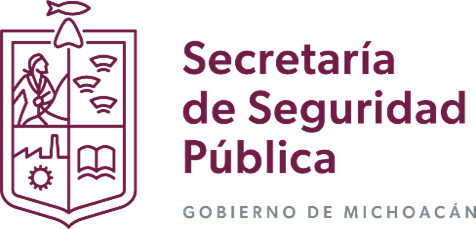Secretaría de Seguridad Pública